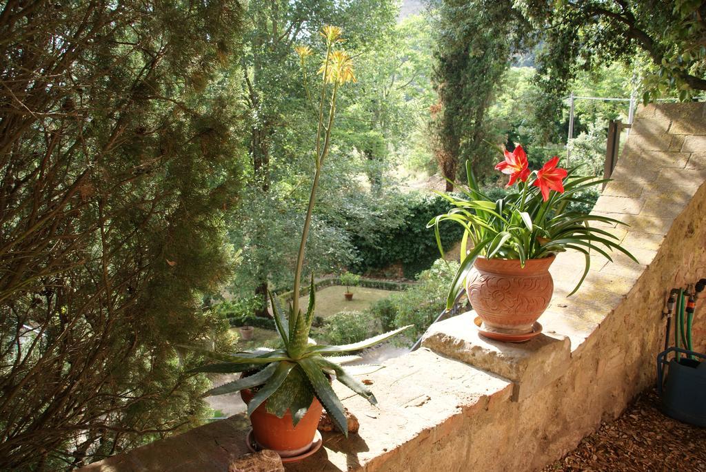 Palagione Centro Interculturale Volterra